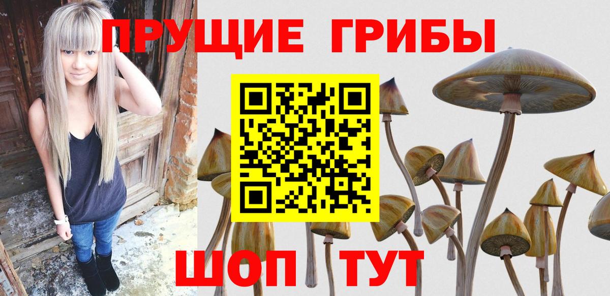 Псилоцибиновые грибы Psilocybe  Вход с VPN  Салехард 