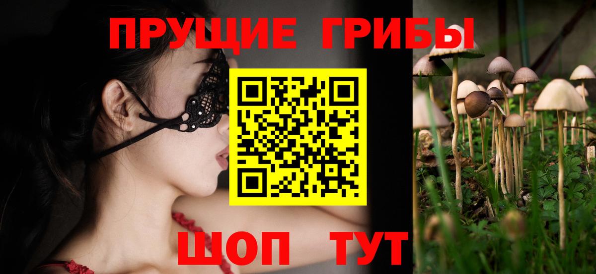 Галлюциногенные грибы GOLDEN TEACHER Салехард